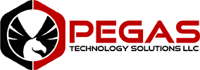 Pegas Customer and Partner Portal